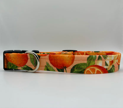 Handmade Dog Collar- oranges