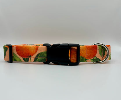 Handmade Dog Collar- oranges