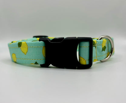 Handmade Dog Collar- lemons