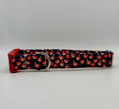 Handmade Dog Collar-apple picking