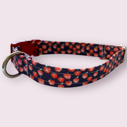 Handmade Dog Collar-apple picking