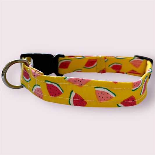 Handmade Dog Collar- watermelon