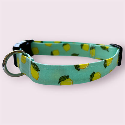 Handmade Dog Collar- lemons